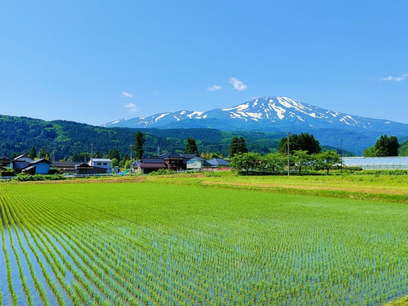 田舎