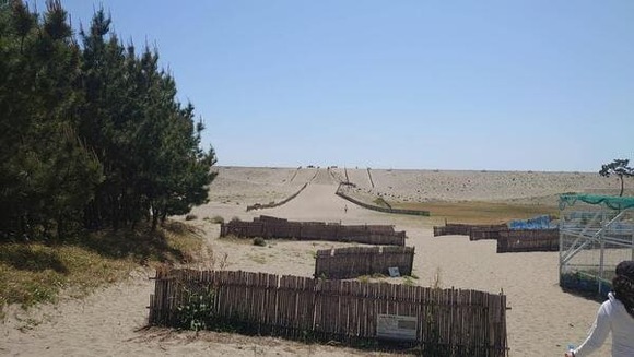 【画像】とある川に来た