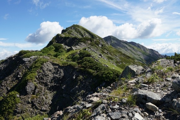 南アルプスでテント張ったら尺取り虫みたいなのが大量に張り付いてきた