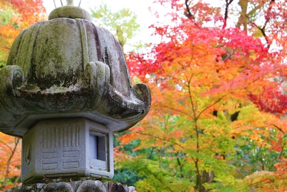 【画像】田舎のジジババの庭に設置されがちな、この謎の石ｗｗｗ