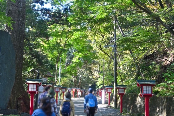 高尾山かぁ…手ぶらでコンバースでもいいやろｗ