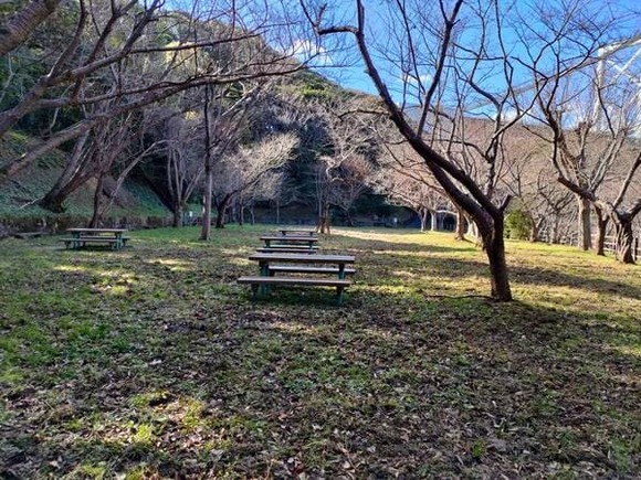 【画像】引きこもりだけど親戚集まってきたから家から出てみたぞ