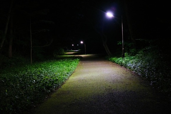 【画像】田舎の夜道、ガチで怖すぎる・・・