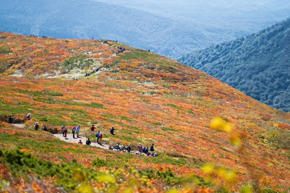 【YAMAP】コメ欄閉じたらフォロワーのDOMOも減ってきた…みんな馴れ合いコメントのやり取りが好きなんやね。