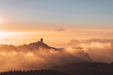 朝の山