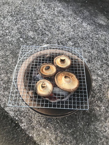 ０ (1)