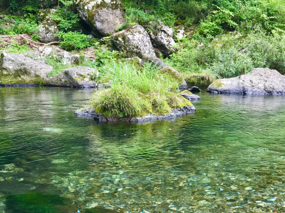 女さん「川でなんか拾った」ﾊﾟｼｬｯ　X民「今すぐ文化財保護課に連絡して」