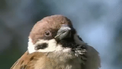 580