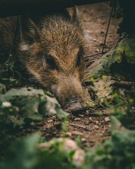 jonathan-kemper-opVu35PjLLg-unsplash (1)