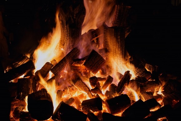 【埼玉】邪魔で…庭の木にライターで着火した男、自宅アパートまで燃やしてしまう　外で立ち尽くした朝、放火で逮捕