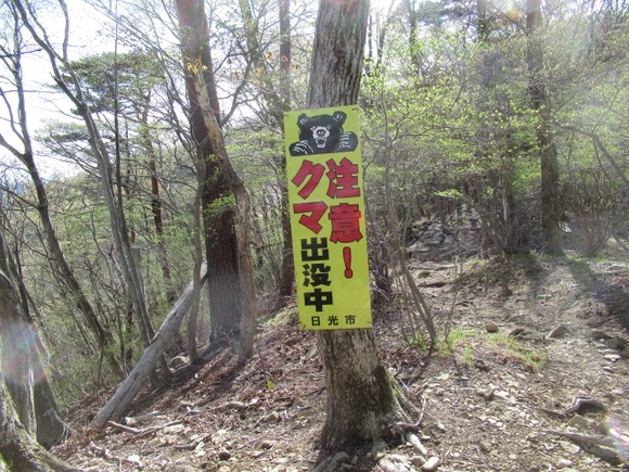 都会民「クマを殺すな！クマが可哀想！」田舎民ワイ「わかる」