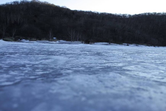【画像】いい天気だから沼に来た