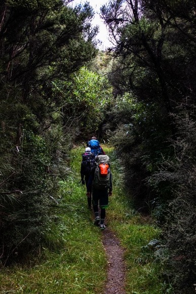 hiking