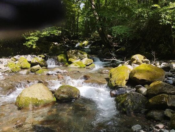 渓流にイワナ・アマゴ釣りに行くやで