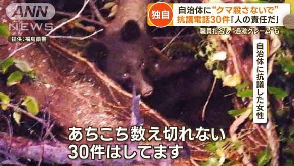 クマ駆除に抗議電話する女性「野生の生き物は癒やしなの！田舎者がどうなろうが知ったことではない！」