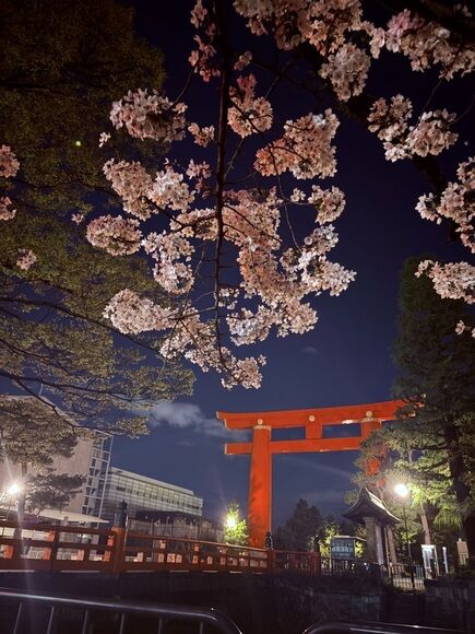 【画像】京都で散歩