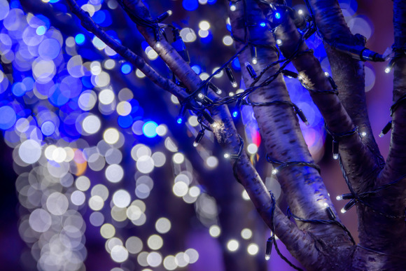 【画像】軽井沢のイルミネーションがこれｗｗｗｗｗｗｗｗｗｗｗｗｗｗｗｗ