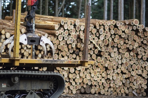 登山してきて、日本で林業が難しい理由が分かった気がする