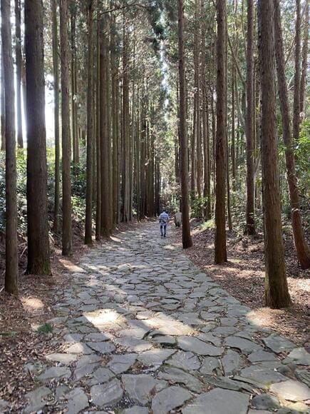 【ガチ歩き】箱根→三島まで山越え※38km歩きますｗｗｗｗｗｗｗｗｗｗ