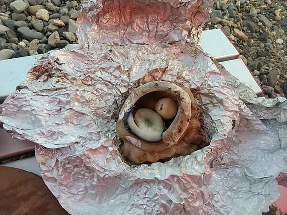 【キャンプ飯】マグロの目玉のホイル焼き！トロっとして普通に旨かった