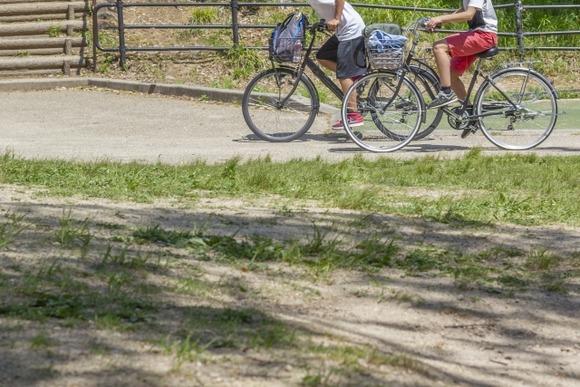 【画像】ガキの頃は公園によくこれ落ちてたよな…