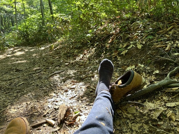 アホワイ、200mの山に登ろうとするも、捻挫してしまうｗｗｗｗｗｗｗｗｗｗｗ