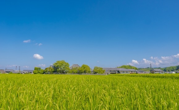 「旅行でそこ行くのか……」って残念な気持ちになる都道府県