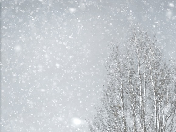 災害級の大雪・猛吹雪！10年に一度の「強烈寒波」が襲来