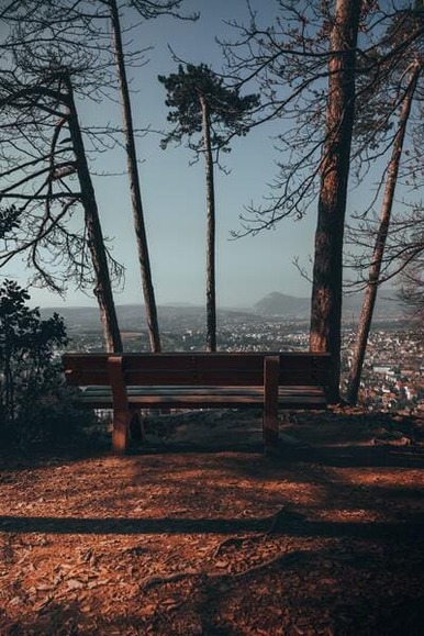 ryan-klaus-gNcAiE1evbw-unsplash (1)