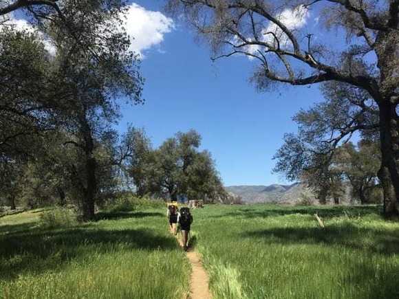 hikers