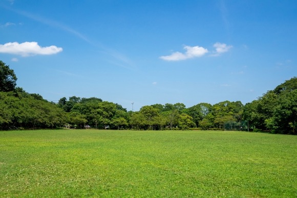 底辺ワイ本日の公園パトロール終了