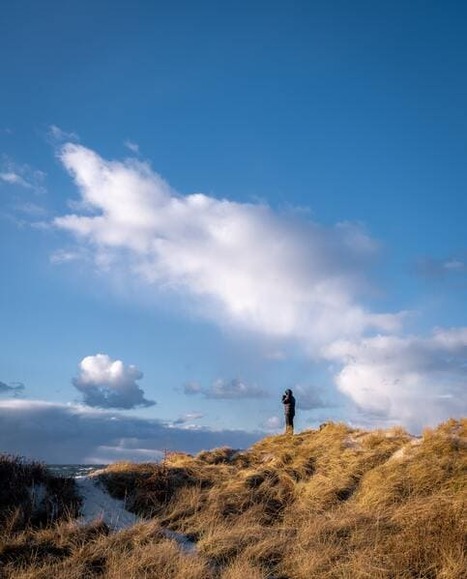 登山(お金かかりません、運動になります、景色いいです)←これ