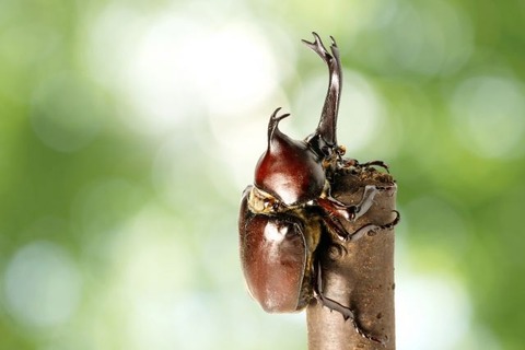 91f30edc7be971a50e03c5492f7ca3f9_s