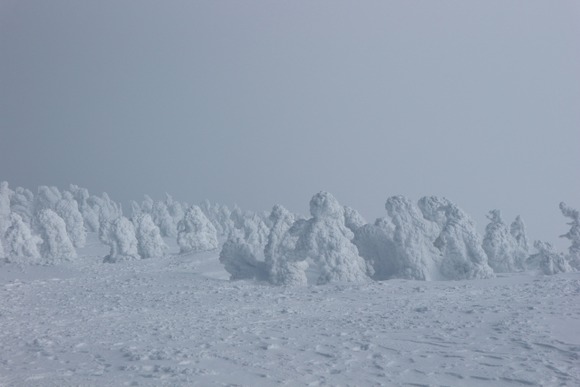 「八甲田山雪中行軍 遭難事件｣とかいうトラウマ事件