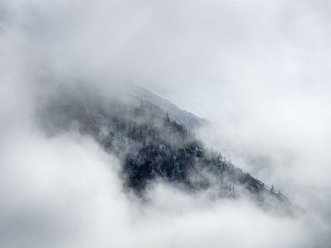 宮大工見習いの俺が古神社の修繕をした時の話【山にまつわる怖い・不思議な話】
