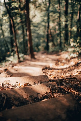 登山道