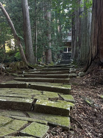 【佐渡】ずっと昔に放棄された廃寺にきた