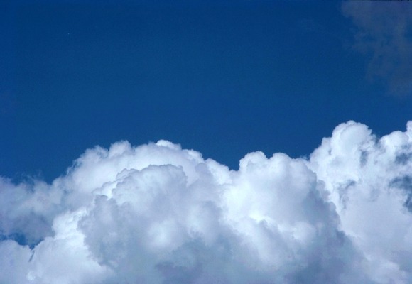 秋はお楽しみいただけたでしょうか？　火曜から夏到来