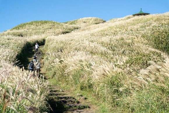 新ストームクルーザー耐水20000透湿40000 254g22000円ってなかなか優秀じゃねえか