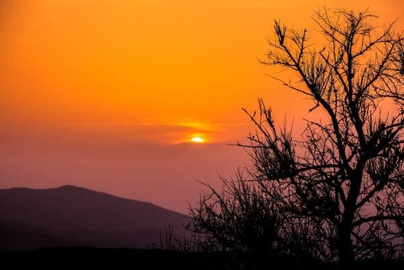 sara-rhm-Z8Daz6xptVc-unsplash (1)