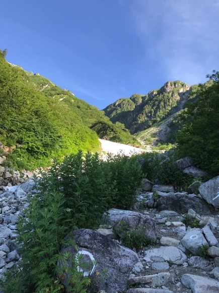 登山道