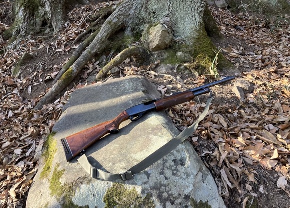 あなたは誤って猟銃で仲間を撃ってしまったとします