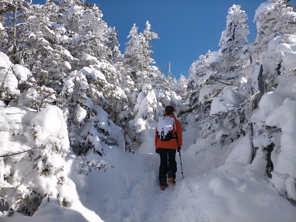 今週初めて八ヶ岳行くけど滑落することなんてあるかな?ピッケルもアイゼンも買ったし装備は万全