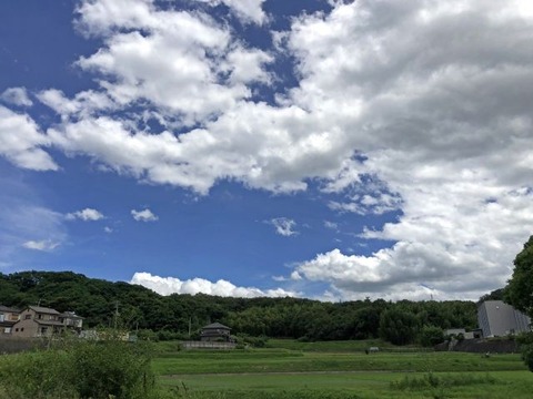田舎