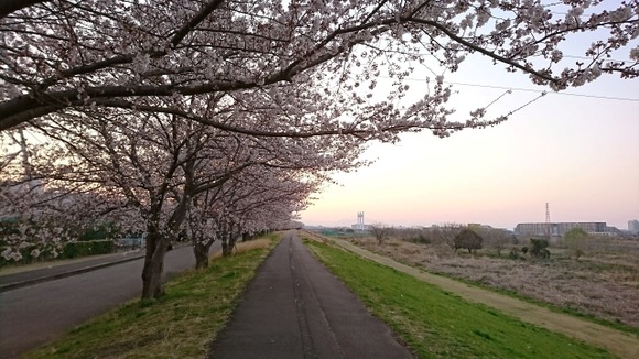 【悲報】X民「ばあちゃん家の近くが田舎すぎて好き」田舎っぺ「！！！」ｼｭﾊﾞﾊﾞﾊﾞﾊﾞﾊﾞ