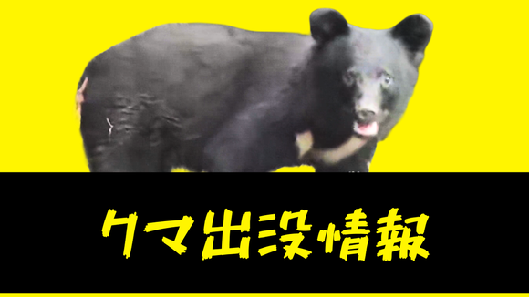 【青森】「洗車中、背後にいた」三沢駅南側や住宅地でクマ目撃相次ぐ　同一個体か
