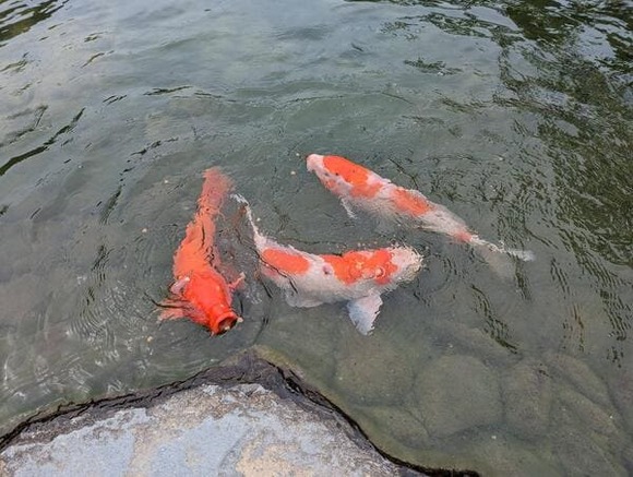 612