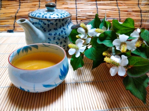 薬草茶の趣味は一生飽きないそうな