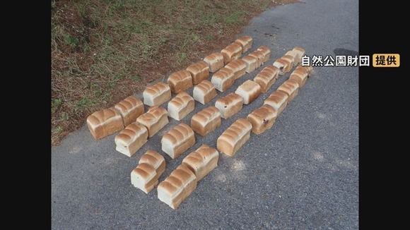 【鳥取】国立公園大山内に連日　食パン・鶏レバー不法投棄…5日にわたり約40キロ　周辺ではクマ目撃情報…餌付けにつながる危険性