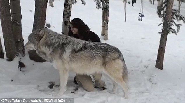 ちゃんねる 登山